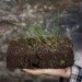 JAILmake, urban design, sustainable design, reseeding bricks, green heroes, green deisgn, eco building, green architecture