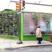 living wall, vertical garden, shake shack, shift design, shift_design, living wall installation, philly, philly shake shack, philadelphia, temporary installation, green design, green building, green architecture, landscape architecture, gardening, sustainable design, sustainable architecture, sustainable building, eco design,