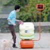 Mexican Parks Trade Free Wi-Fi Access for Dog Poop