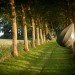 dre wapenaar, tree tents, treehouse tents, sustainable architecture, green design, alternative dwellings, tree-sitter housing, treetop housing
