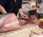 Tuna Scrape – a.k.a. ‘Pink Slime’ of the Sea – Causes Serious Outbreak of Salmonella