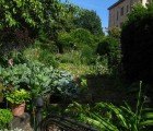 Turn Your Yard Into a Thriving Garden with Open Source Permaculture
