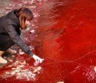 Report Says Chinese Textile Polluters Disregard Environmental Regulations