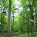 Waldhochseilgarten, Botanical, Zero energy, Landscape Architecture, berlin, Edelrid SmartBelay System, Volkspark Jungfernheide, climbing circuits, harness, treetops