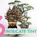 Japanese art, Takanori Aiba, bonsai, castles, Japanese Bonsai Series