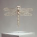 British art, Dragonflies, Butterflies, Matchsticks art, Kyle Beans