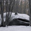 Massive Whale Sculpture Pops Up in Patagonian Forest, Warns of a Species Under Threat