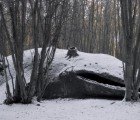 Massive Whale Sculpture Pops Up in Patagonian Forest, Warns of a Species Under Threat