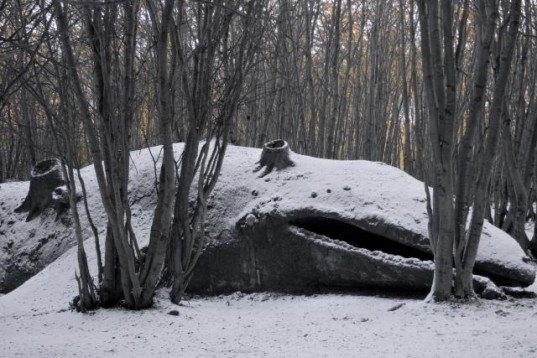 Adrian villar rojas, argentina, my family dead, whales, sculpture, Ushuaia, clay, mixed media sculptures, patagonian forest