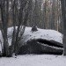 Adrian villar rojas, argentina, my family dead, whales, sculpture, Ushuaia, clay, mixed media sculptures, patagonian forest