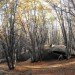 Adrian villar rojas, argentina, my family dead, whales, sculpture, Ushuaia, clay, mixed media sculptures, patagonian forest