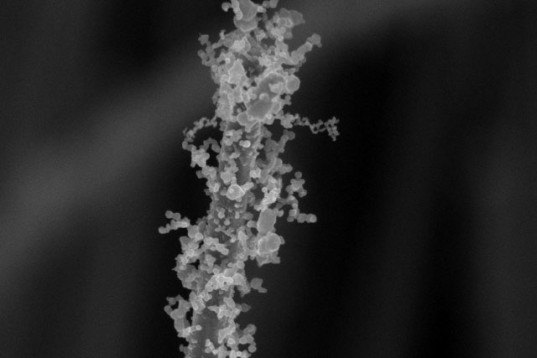 Stanford, nanotechnology, nanowires, bejeweled nanowires, nanoparticles