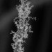 Stanford, nanotechnology, nanowires, bejeweled nanowires, nanoparticles