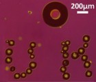 Scientists Create Laser-Controlled Micro-Robot from a Bubble