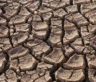 Drought In California and Texas Threatens US Food Security