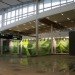 EIA Living Wall, Green over Grey, Edmonton Airport, living wall, vertical garden, indoor air quality, canada