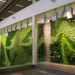 EIA Living Wall, Green over Grey, Edmonton Airport, living wall, vertical garden, indoor air quality, canada