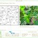 EIA Living Wall, Green over Grey, Edmonton Airport, living wall, vertical garden, indoor air quality, canada