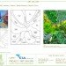 EIA Living Wall, Green over Grey, Edmonton Airport, living wall, vertical garden, indoor air quality, canada
