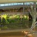 EIA Living Wall, Green over Grey, Edmonton Airport, living wall, vertical garden, indoor air quality, canada