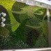 EIA Living Wall, Green over Grey, Edmonton Airport, living wall, vertical garden, indoor air quality, canada