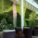 EIA Living Wall, Green over Grey, Edmonton Airport, living wall, vertical garden, indoor air quality, canada