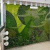 Edmonton Airport Unveils Massive Air-Cleaning Living Green Wall!