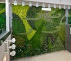 Edmonton Airport Unveils Massive Air-Cleaning Living Green Wall!