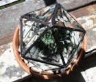 Turn Any Potted Plant into a Geodesic Crystal Terrarium With Halona’s Plant Toppers!