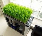 This Modified Desktop Computer Uses its Own Heat to Grow Plants