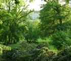 Are Green Spaces an Indicator of Social and Economic Inequality?