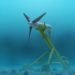 tidal power, tidal energy, searaser ecotricity, cheap clean electricity, searaser, ecotricity, tidal ecotricity, searaser project, hs1000 tidal turbine, hammerfest strom hs1000, tidal turbine orkney