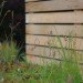 Harpoon House, Design for Occupancy, small space living, prefab home, portland, green home, micro home