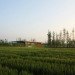 Harvest Pavilion, Vector Architects, eco farm, china, pavilion, daylighting,