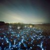 Lee Eunyeol’s Stunning LED Landscapes Light Up the Night