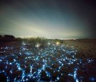 Lee Eunyeol’s Stunning LED Landscapes Light Up the Night