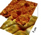 Berkeley Researchers Create Electricity-Generating Viruses