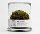 Mosser Is a Simple Moss Terrarium for Your Windowsill!