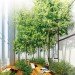 Yongsan International Business District, green design, eco design, sustainable design, Seoul, Korea, Muphy/Jahn, double skinned facade, sky forest, Pentimonium, Daniel Libeskind,