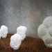 Nervous System, 3d printing, 3d printed design, icff 2012, international contemporary furniture fair, green lighting, led lighting, low-energy lighting, energy-efficient lighting, green products, green interiors, sustainable design, green design, hyphae lamp