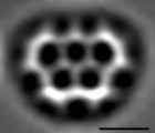 Olympicene: New Molecule Shaped Like the Olympic Rings Could Revolutionize Solar Technology
