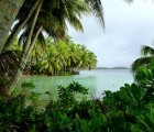 Stanford University Study finds that Global Ecosystems Being Permanently Damaged By Mankind