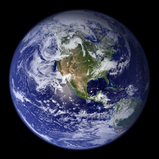 mass extinction event, great dying, species extinction, university of bristol, extinction, natural disasters