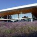 Probiomed, Grupo de Diseno Urbano, eco laboratory, mexico, research facility, rainwater, daylighting