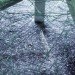 Probiomed, Grupo de Diseno Urbano, eco laboratory, mexico, research facility, rainwater, daylighting
