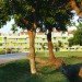 Santa Eugenia Housing, balio Rull ADD, santa eugenia de berga, spain, social housing, brise soleil, daylighting, sun shade