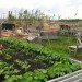 Stadtteilgarten Schillerkiez, Tempelhof airport, berlin, community gardens, food, growing food, mobile garden, abandoned airport, people initiatives, recycled pallets, recycled matrials, social design, Urban design, Sustainable Food, Architecture, green furniture, Botanical, diy, Gardening, Recycled Materials, Recycling / Compost
