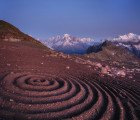 Sylvain Meyer Transforms Elements of Nature into Beautiful Environmental Art