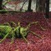 green design, eco design, sustainable design, Land Art, environmental art, eco-friendly mateirals, Sylvain Meyer, ephemeral art, Walter de Maria, Spiral Jetty, Robert Smithson