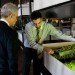 The Plant, Plant Chicago, chicago, vertical farm, factory conversion, food factory, zero waste, zero energy
